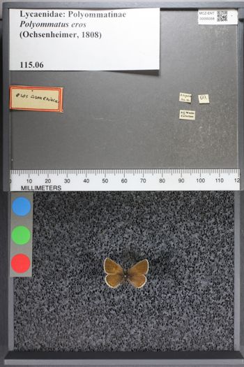 Media type: image;   Entomology 55358